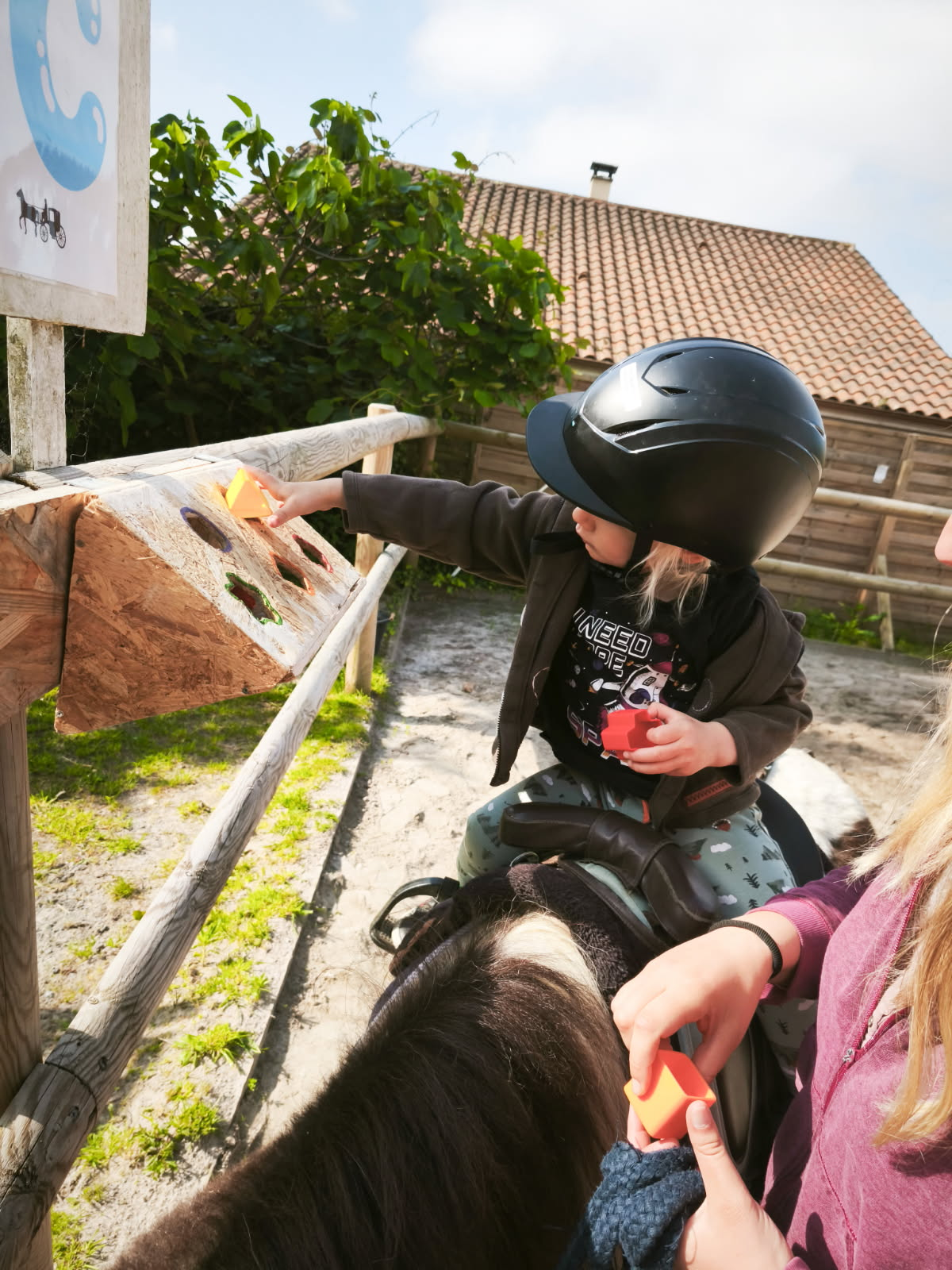 Séance d'éveil avec les poneys